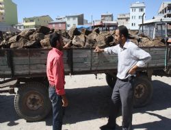 Tezek piyasası açıldı